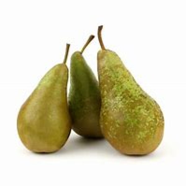 Conference Pear Conference Pear