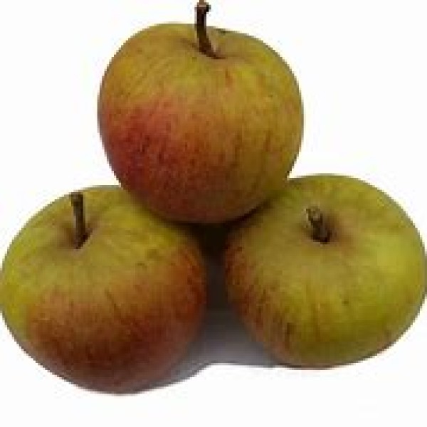 Cox Apples Cox Apples