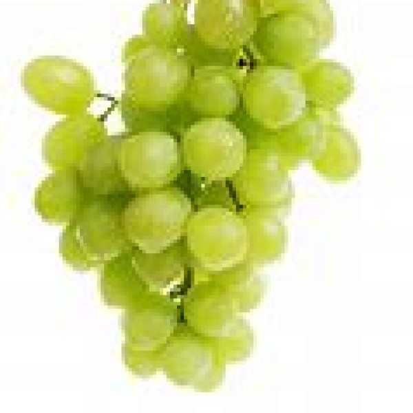 White Grapes White Grapes