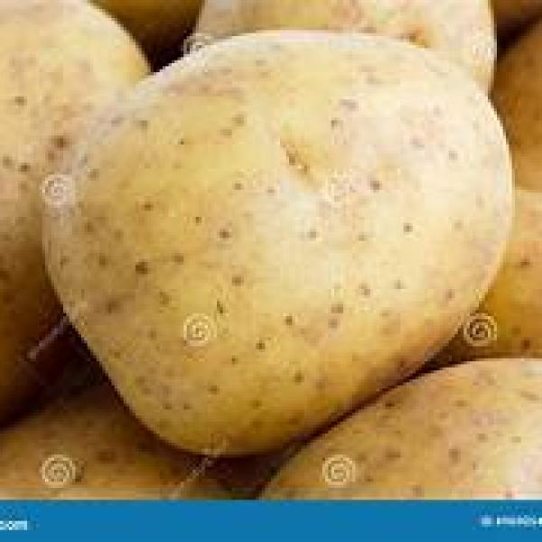 20kg Washed Potatoes
please note that all of our fruit is direct from Market and prices may fluctuate 20kg Washed Potatoes