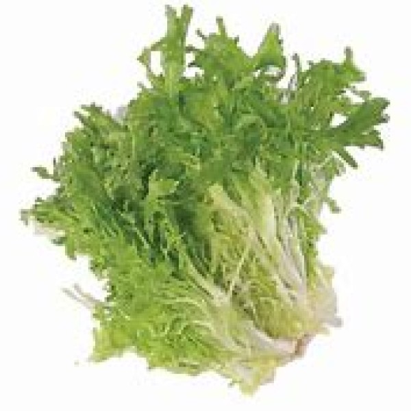 Chicory / Each Chicory / Each