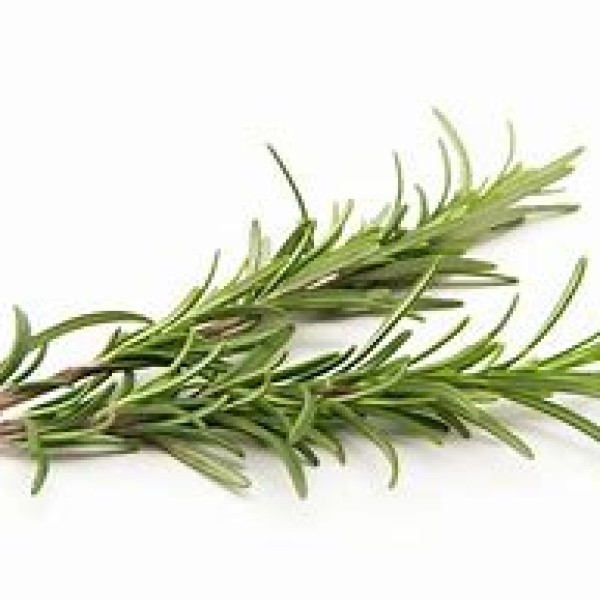 Rosemary Rosemary