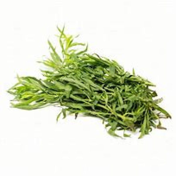 Tarragon Tarragon