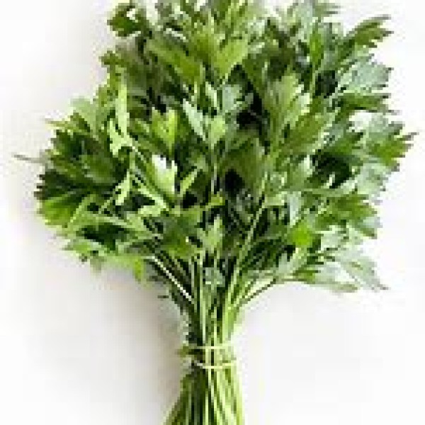 Flat Parsley Flat Parsley