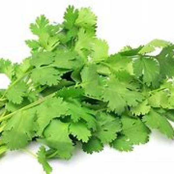 Coriander Coriander