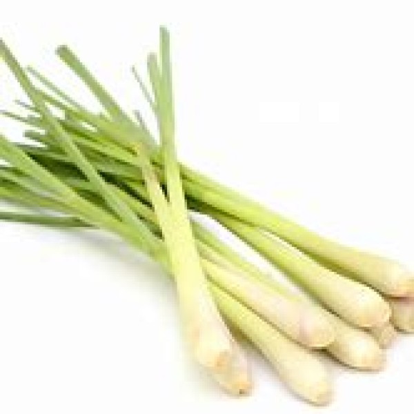 Lemon Grass Lemon Grass