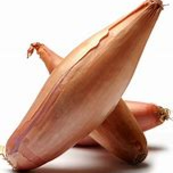 Banana Shallots Banana Shallots