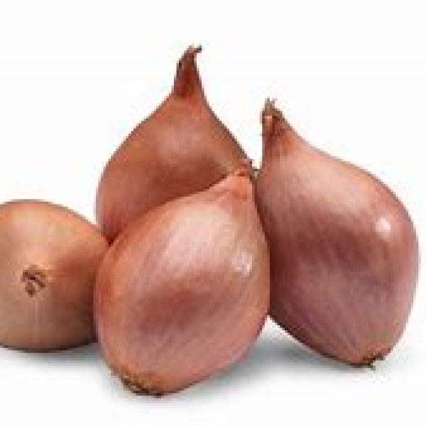 Round Shallots Round Shallots