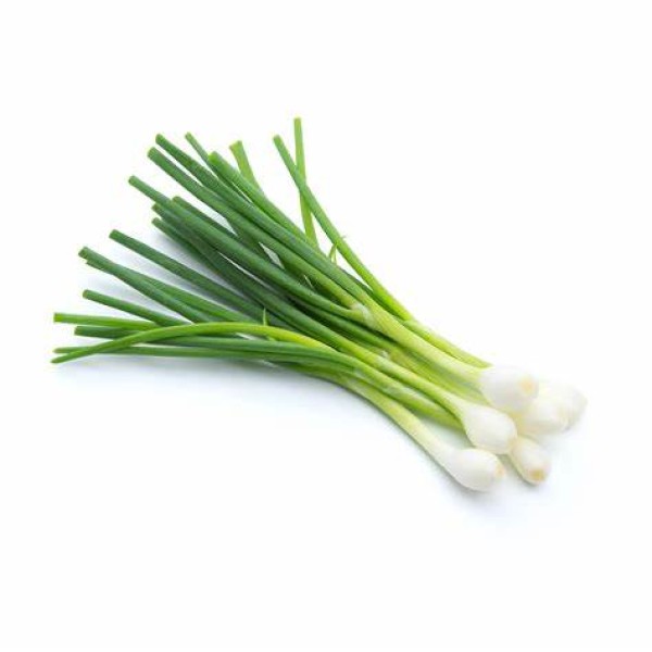 Spring Onions Bunch Spring Onions Bunch