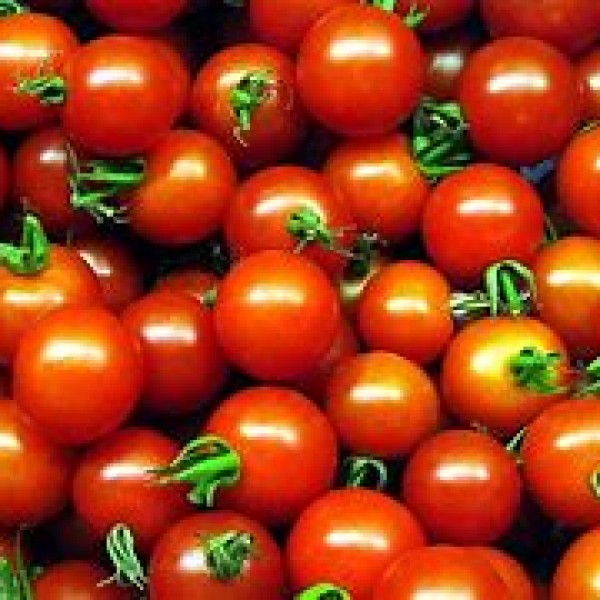 Cherry Tomatoes 1.25