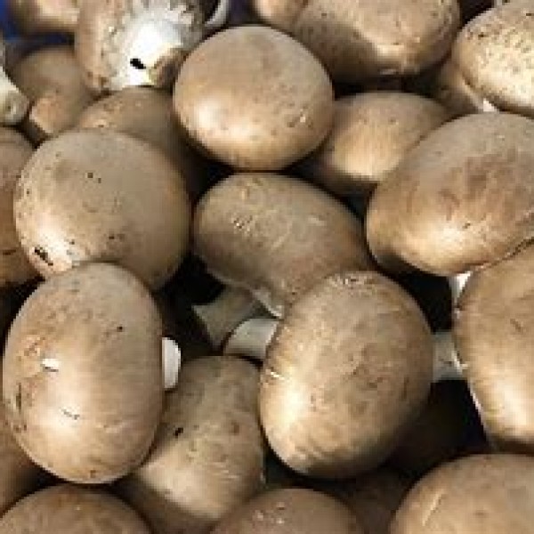 Chestnut Mushrooms 500g Chestnut Mushrooms 500g