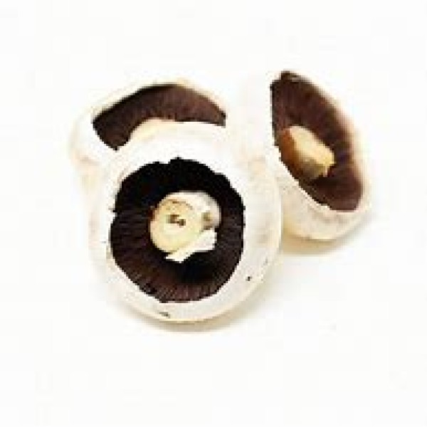 Flat Mushrooms Flat Mushrooms