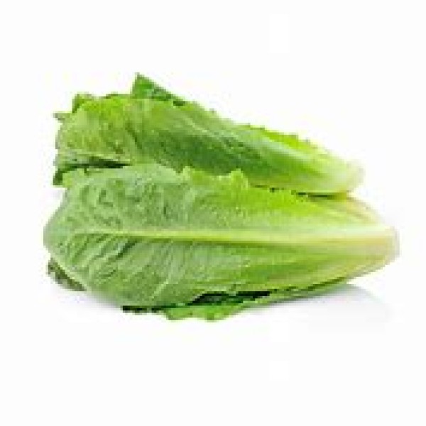 Cos Lettuce Cos Lettuce