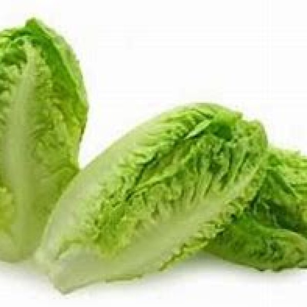 Little Gem Little Gem