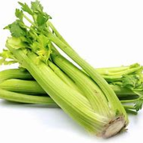 Celery Celery