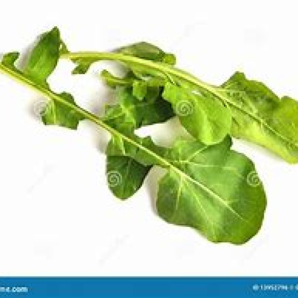 Rocket Salad Rocket Salad