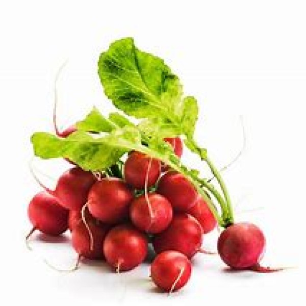 Radish Radish