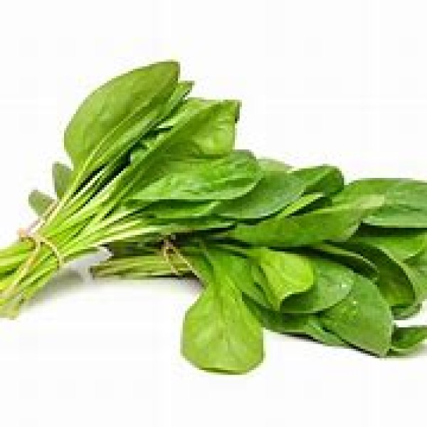Spinach Spinach