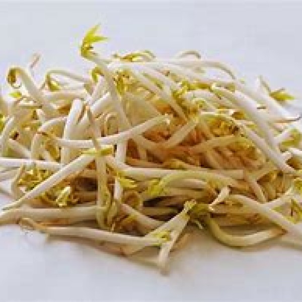Bean Sprouts Bean Sprouts