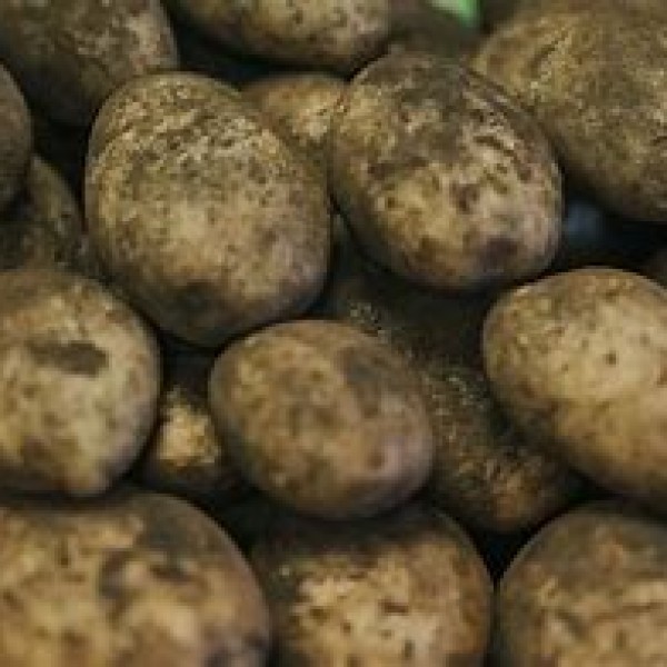 Maris Piper Loose 1kg Maris Piper Loose 1kg