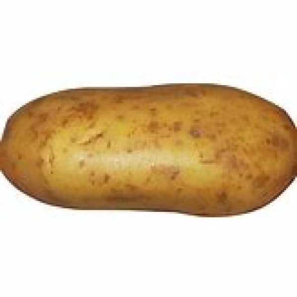 Jacket Potatoes Jacket Potatoes