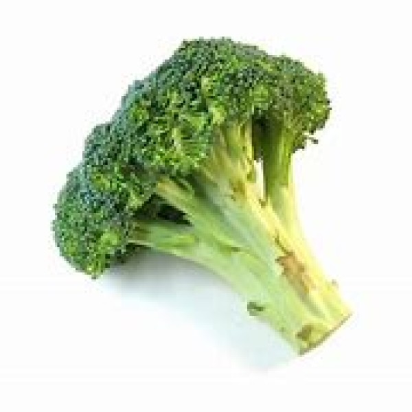 Broccoli Head Broccoli Head