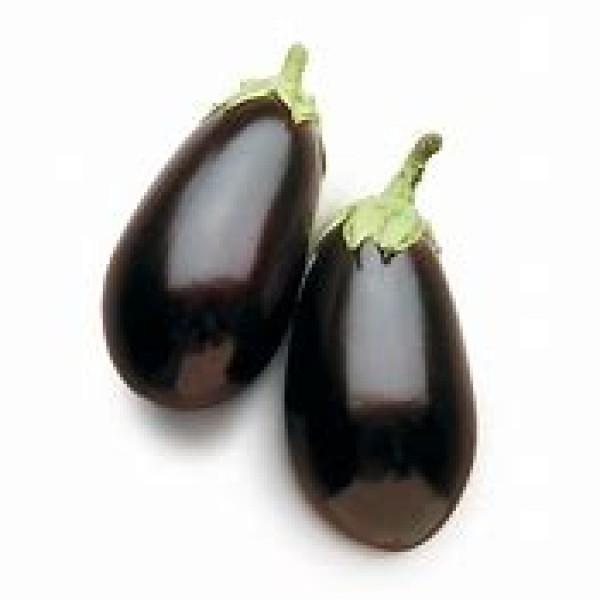 Aubergine Aubergine