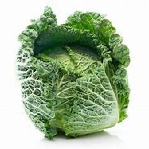 Savoy Cabbage Savoy Cabbage