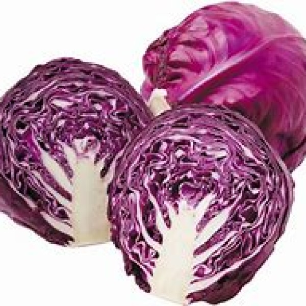 Red Cabbage Red Cabbage