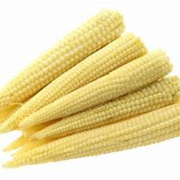 Baby Corn Pack Baby Corn Pack