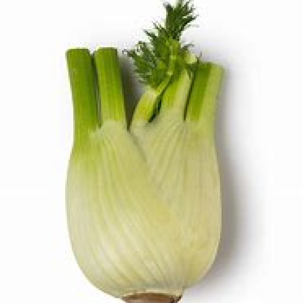 Fennel Fennel