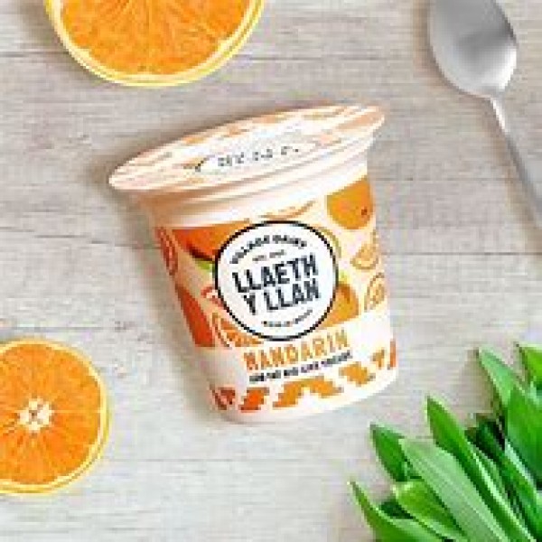 Mandarin Yogurt Mandarin Yogurt