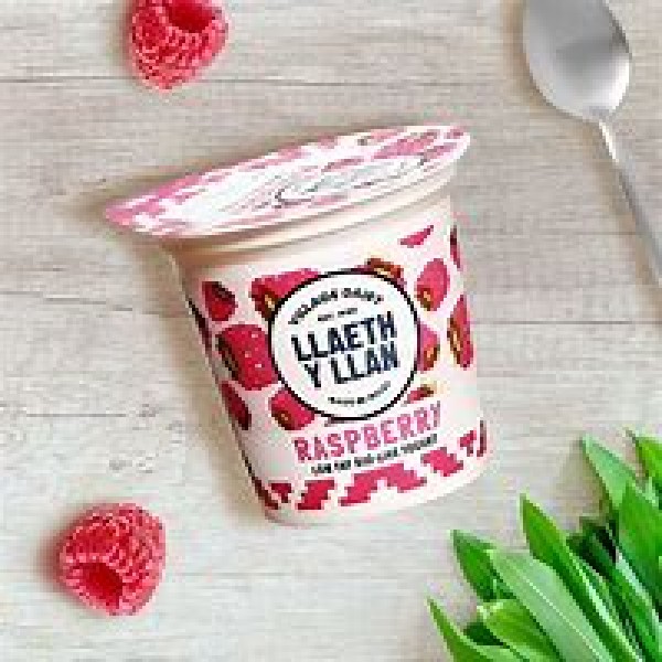 Raspberry Yogurt Raspberry Yogurt